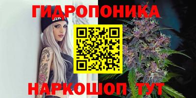 кокс Нальчик