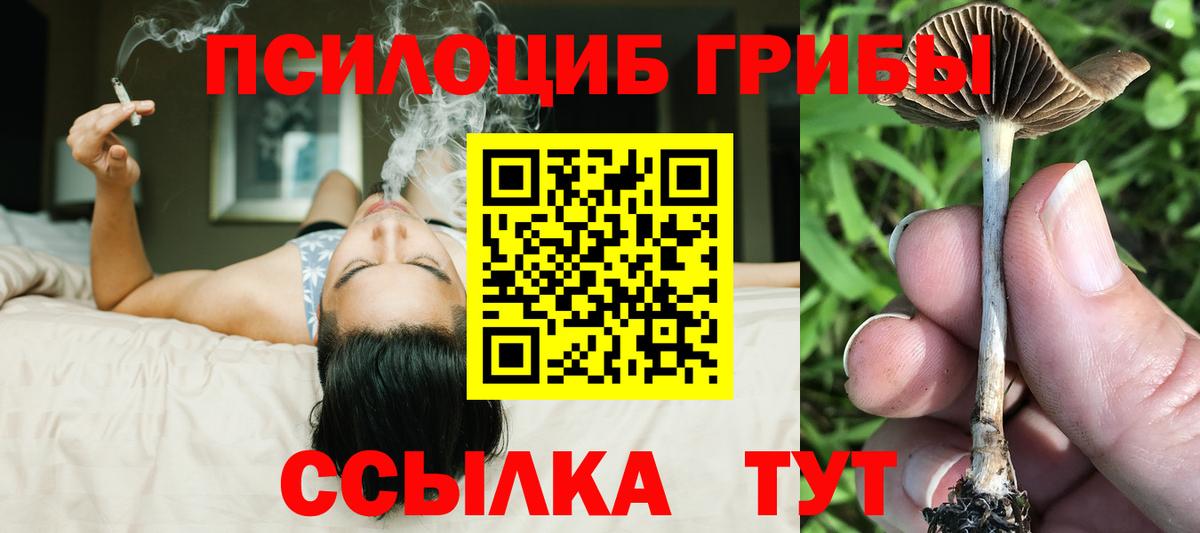 Галлюциногенные грибы Psilocybe  Псилоцибиновые грибы Magic Shrooms  купить наркотики цена  Янаул  Вход с VPN 
